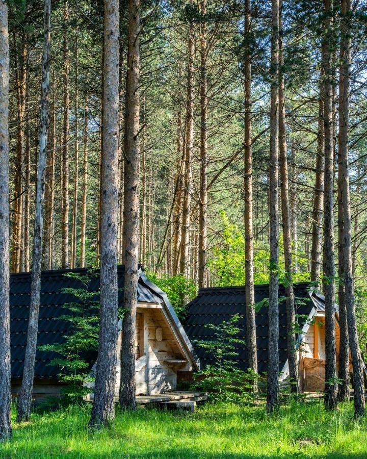 Eco Camp Chalets Pod Gorom Žabljak Екстериор снимка